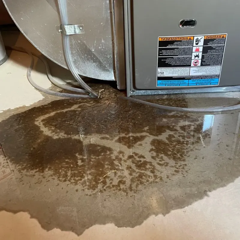 Pipe Burst and Leak Restoration in Otsego County, MI
